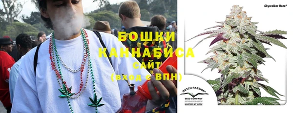 дмт Верея