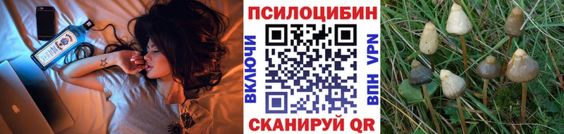 blacksprut сайт  это клад  Галлюциногенные грибы Cubensis  Тихвин 